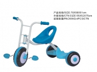 219730 Baby Tricycle